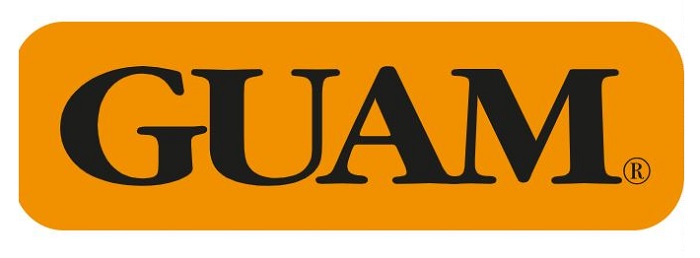 Fangogel snellente addome-fianchi 150 ml