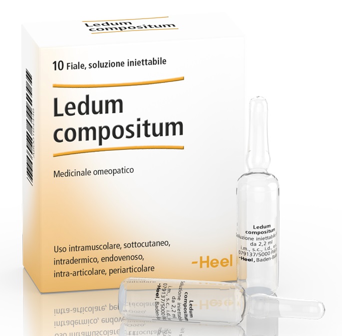 Ledum comp 10fl heel