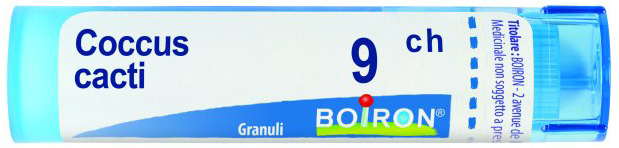 Coccus cacti 9ch gr