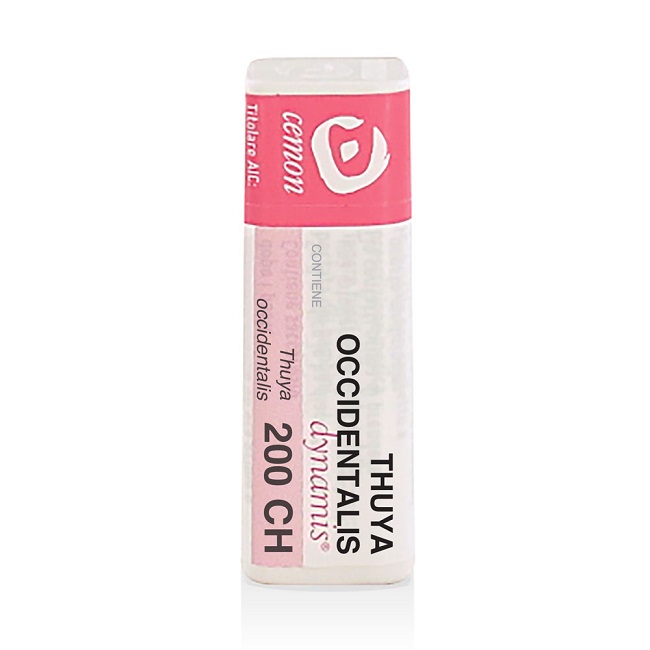 Thuya occidentalis 200ch gl unda