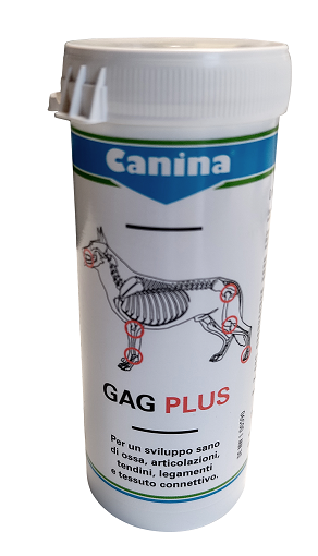 Gag plus 100 g 60 tavolette
