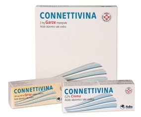 Connettivina