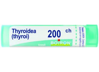 Thyroidea 200ch gr