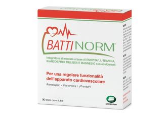 Battinorm 30 stick da 2,2 g
