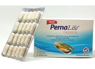 Pernalife 60 capsule 400 mg