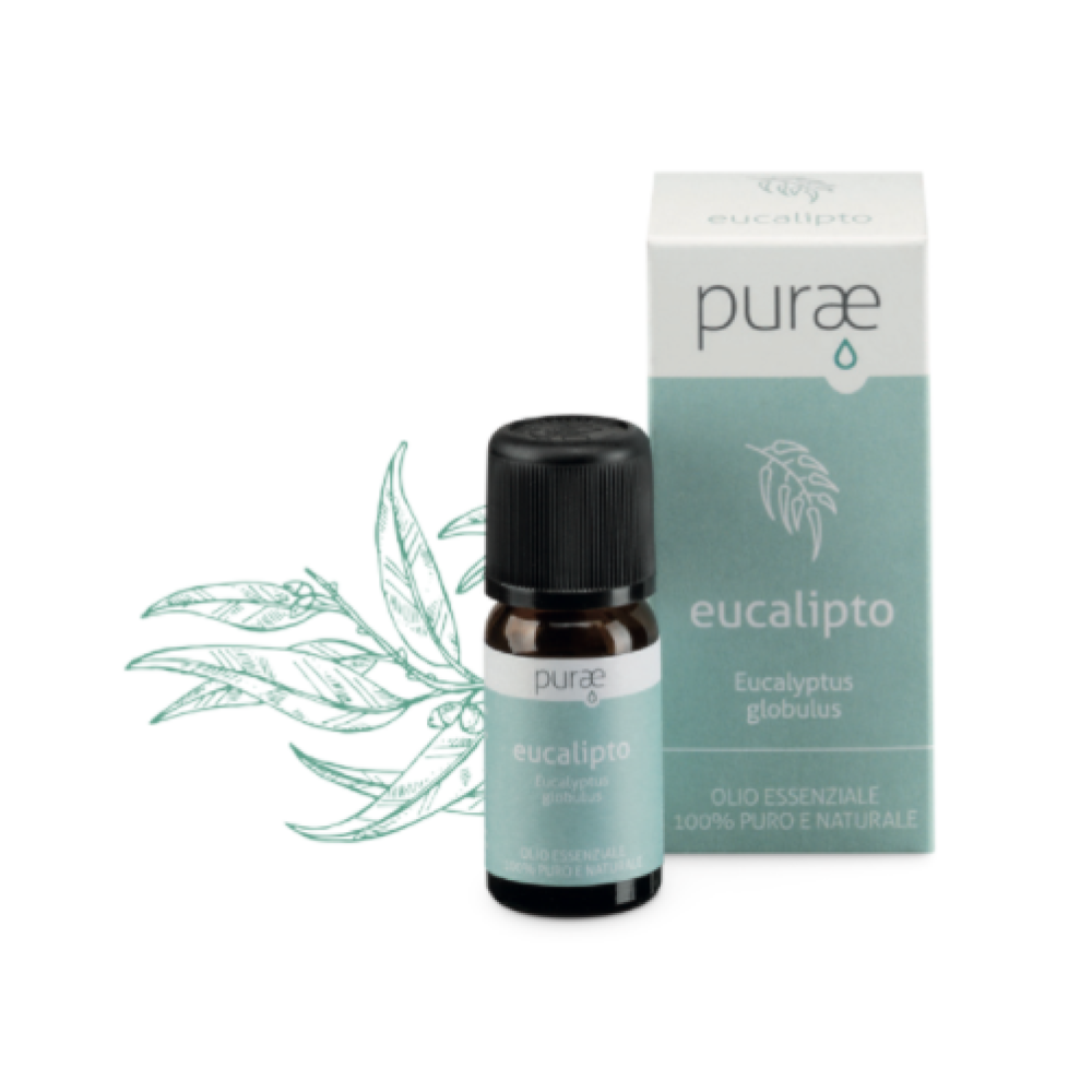 Purae oe eucalipto radiata bio eucalyptus radiata foglie olio essenziale 10 ml